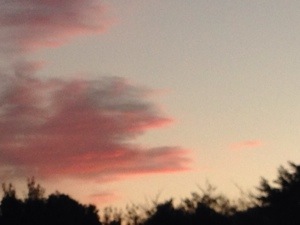 「ターナー展」「京都展」 「ターナー展」「京都展」