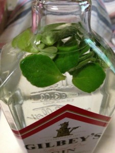 1044851_10200464665326885_1298313045_n