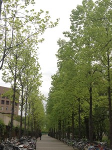 531836_4989886632662_2010073250_n