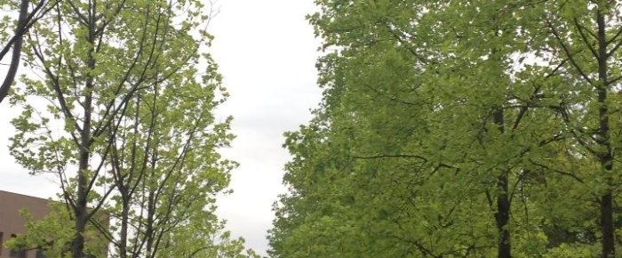 多磨のキャンパスへ 多磨のキャンパスへ