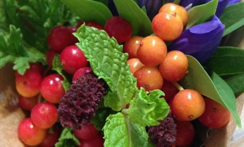 ようこそ、秋。 ようこそ、秋。