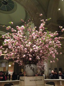 10006404_10201993214099649_1562116585_n