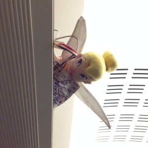 1970565_10201998746197948_1618453372_n