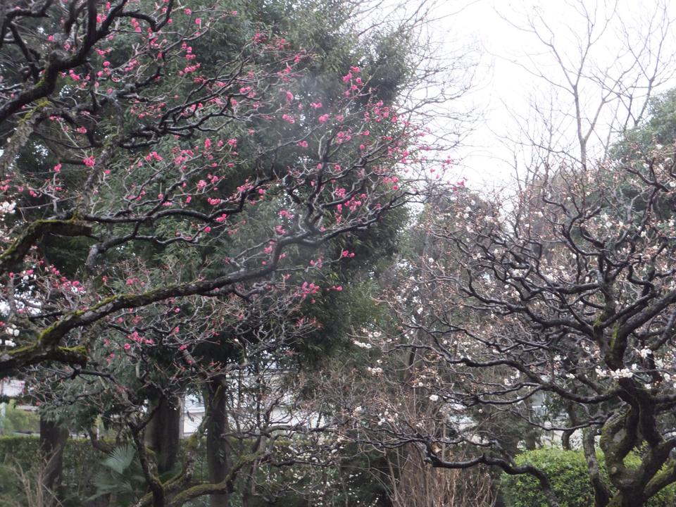 1743711_10201870702076925_213144715_n