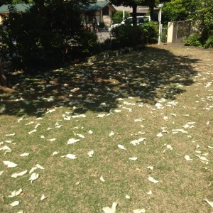 10151965_10202209043695254_4194787267272223661_n