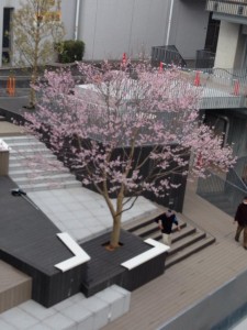 10153990_10202010012479598_921646758_n