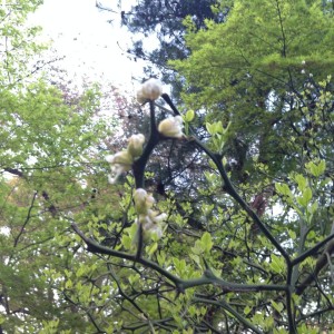 10258806_10202132969593449_1446473776807000823_n