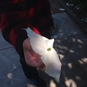 10304795_10202209043975261_5544352244560406154_n