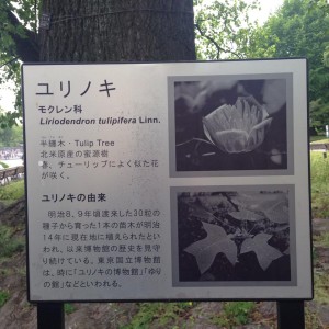 10313560_10202279111886915_731314553834914908_n