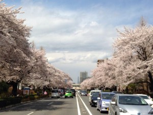 1517478_10202068101811795_1493534157797502318_n