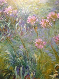 1959956_10201987731122578_469779130_n